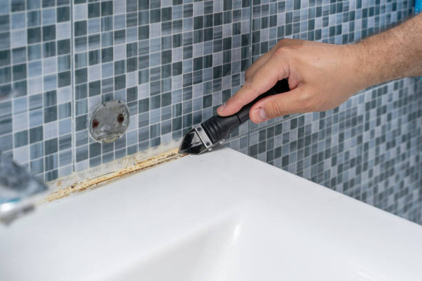 Best Mold Damage Repair  in Rockford, MN