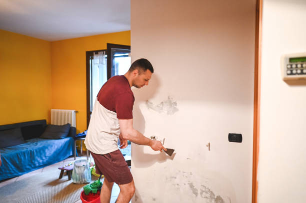 Office Mold Removal Services in Rockford, MN